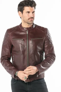 Blouson Homme Daytona Cobalt Cow Semi Veg Bordo