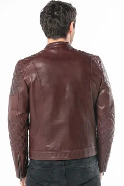 Blouson Homme Daytona Cobalt Cow Semi Veg Bordo