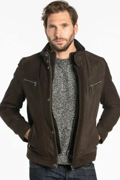 Blouson Homme Daytona Falcon Ic Cow Madison Brown