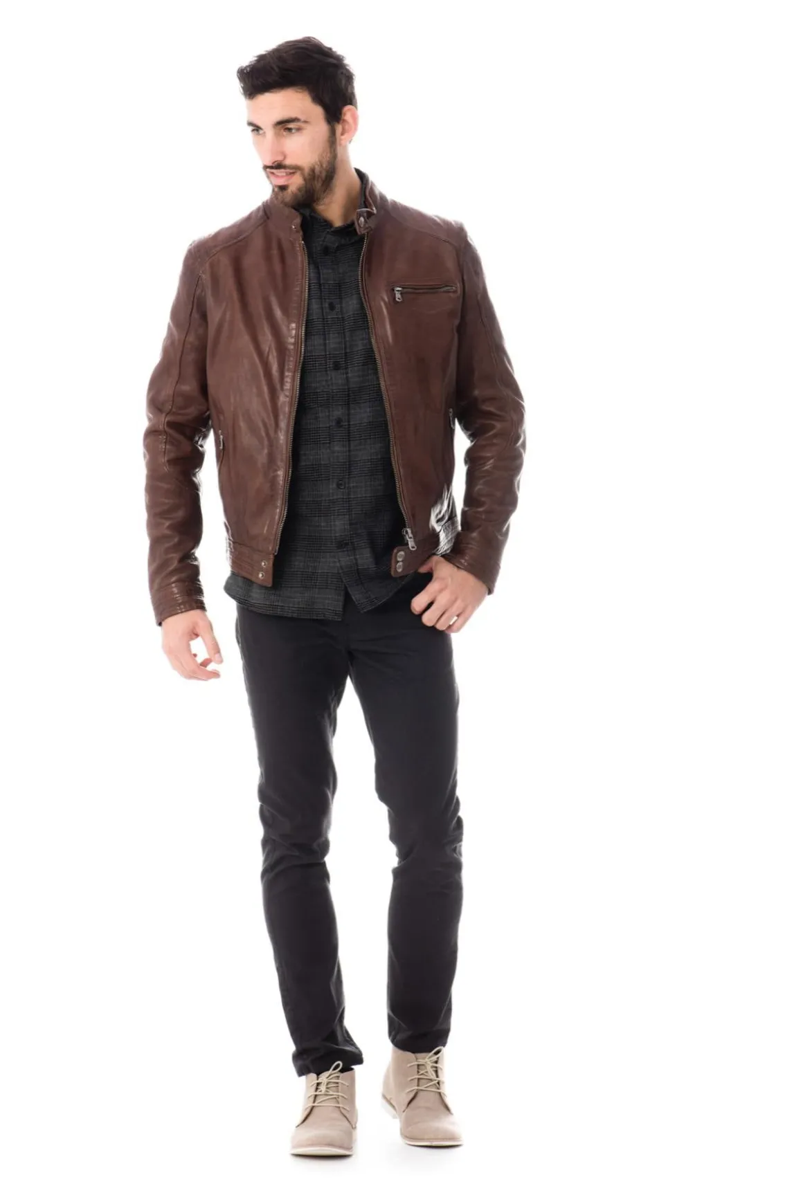 Blouson Homme Daytona Hugo Sheep Tiger Bison