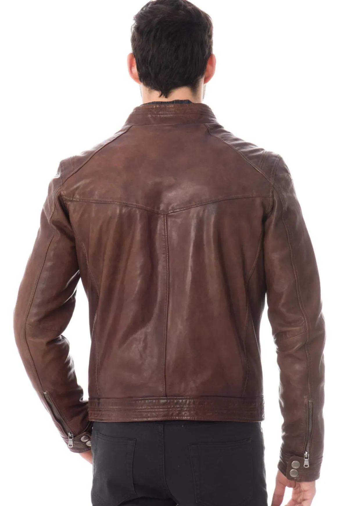 Blouson Homme Daytona Hugo Sheep Tiger Bison