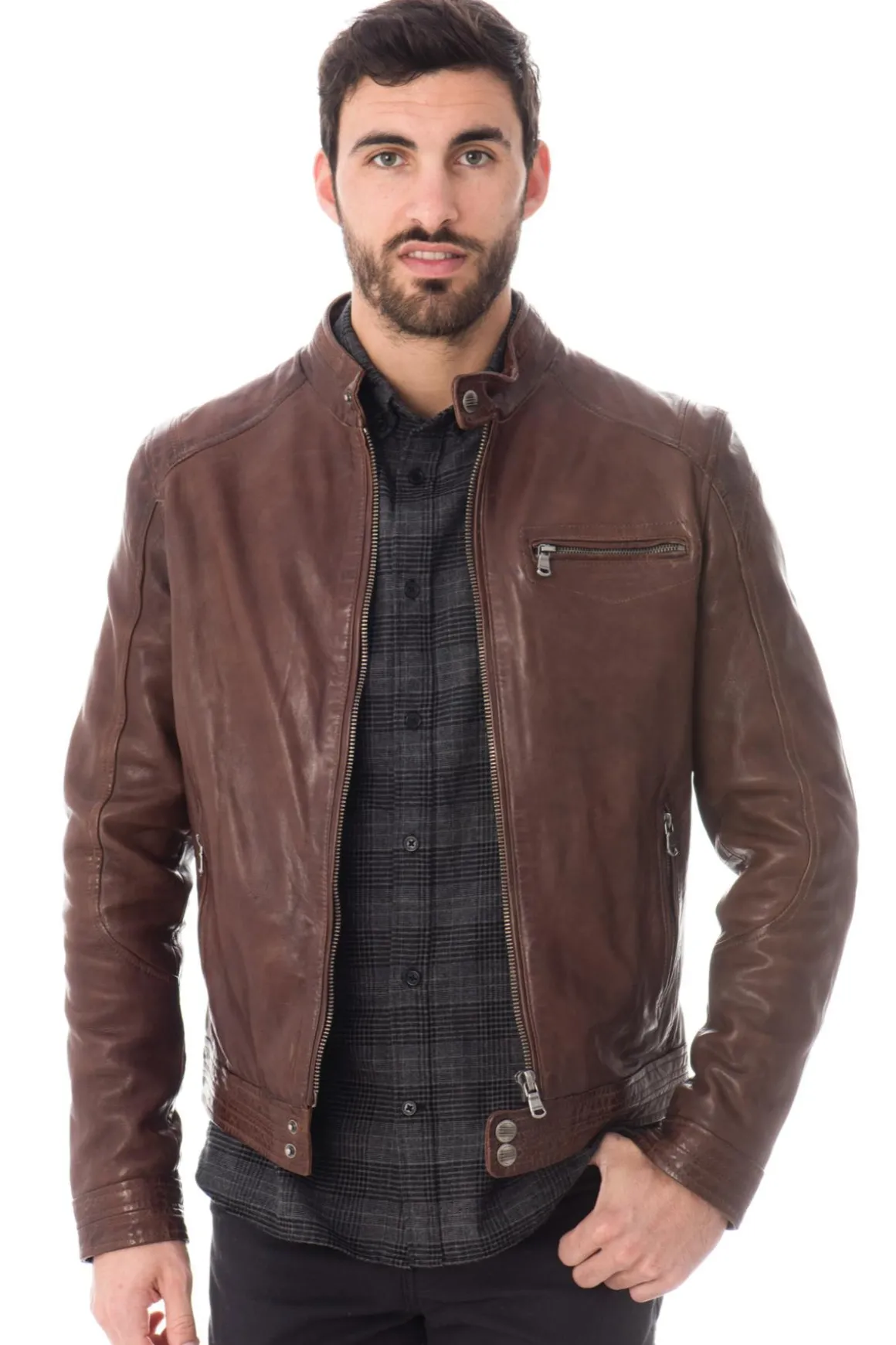 Blouson Homme Daytona Hugo Sheep Tiger Bison