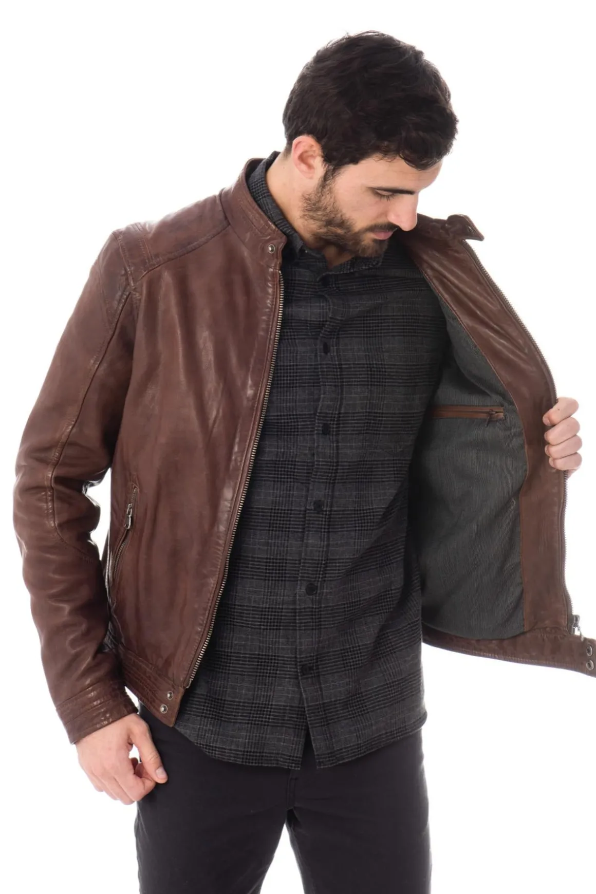 Blouson Homme Daytona Hugo Sheep Tiger Bison