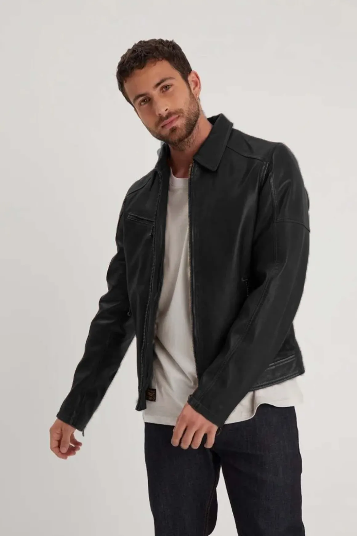 Blouson Homme Daytona Mick Sheep Tiger Black