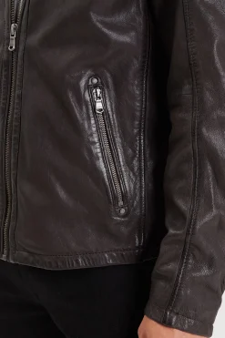 Blouson Homme Daytona Winston Hood Lamb Vita R.brown