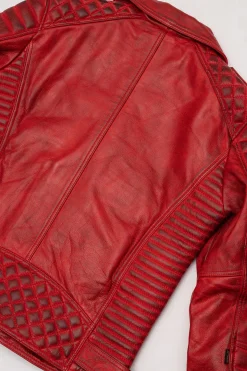 Blouson Homme Master Belvedere Red