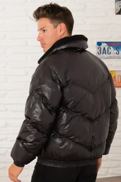 Blouson Homme Schott Collin Black