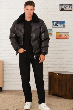 Blouson Homme Schott Collin Black