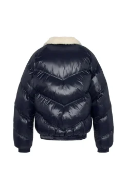Blouson Homme Schott Collin Navy