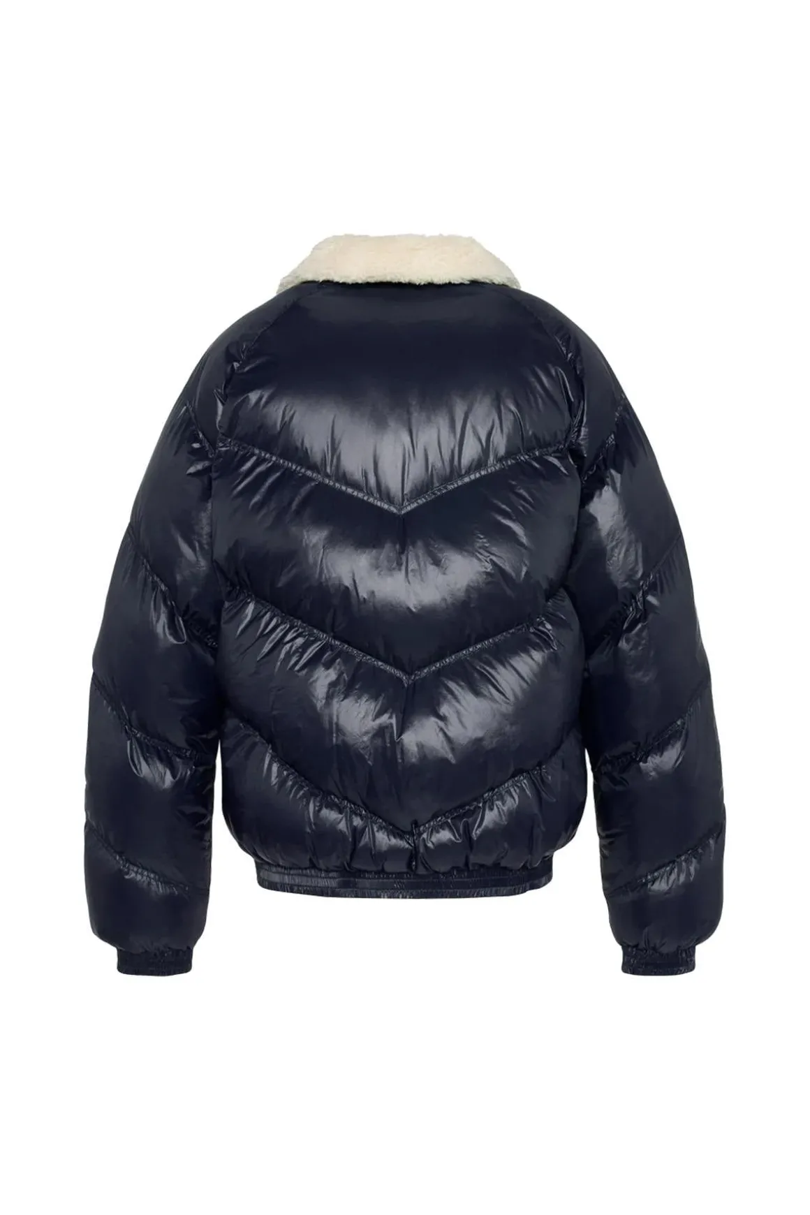 Blouson Homme Schott Collin Navy