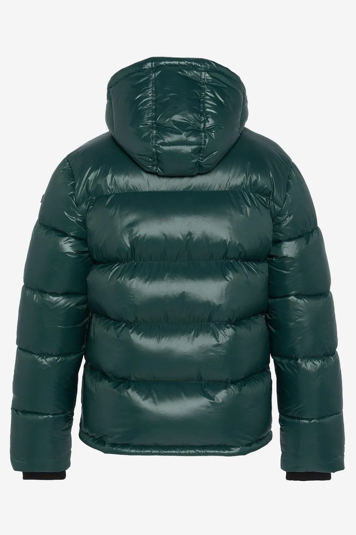 Blouson Homme Schott Columbus Forest