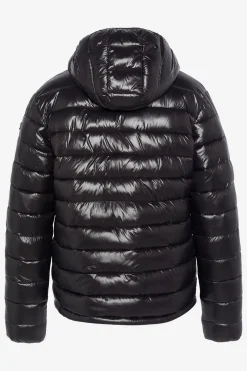 Blouson Homme Schott Drago Black