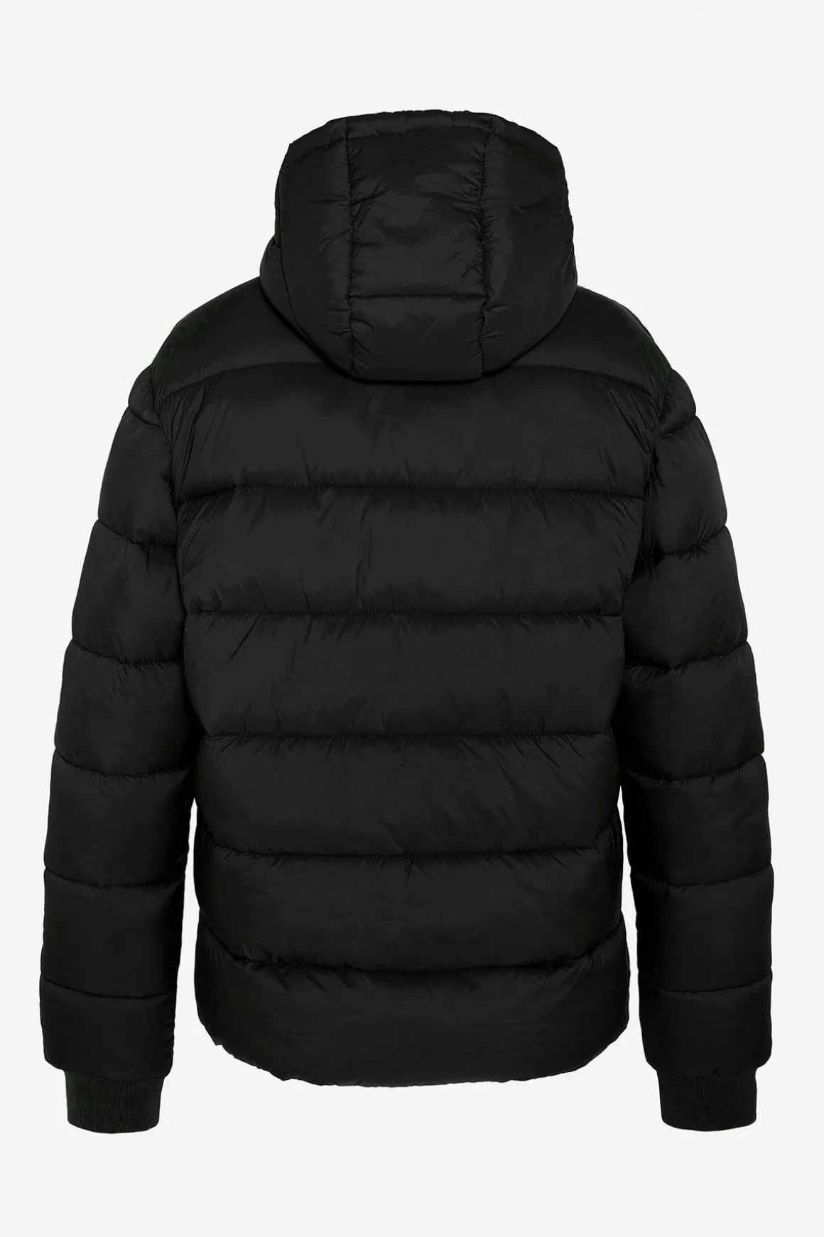 Blouson Homme Schott Hawkrs Black/Black