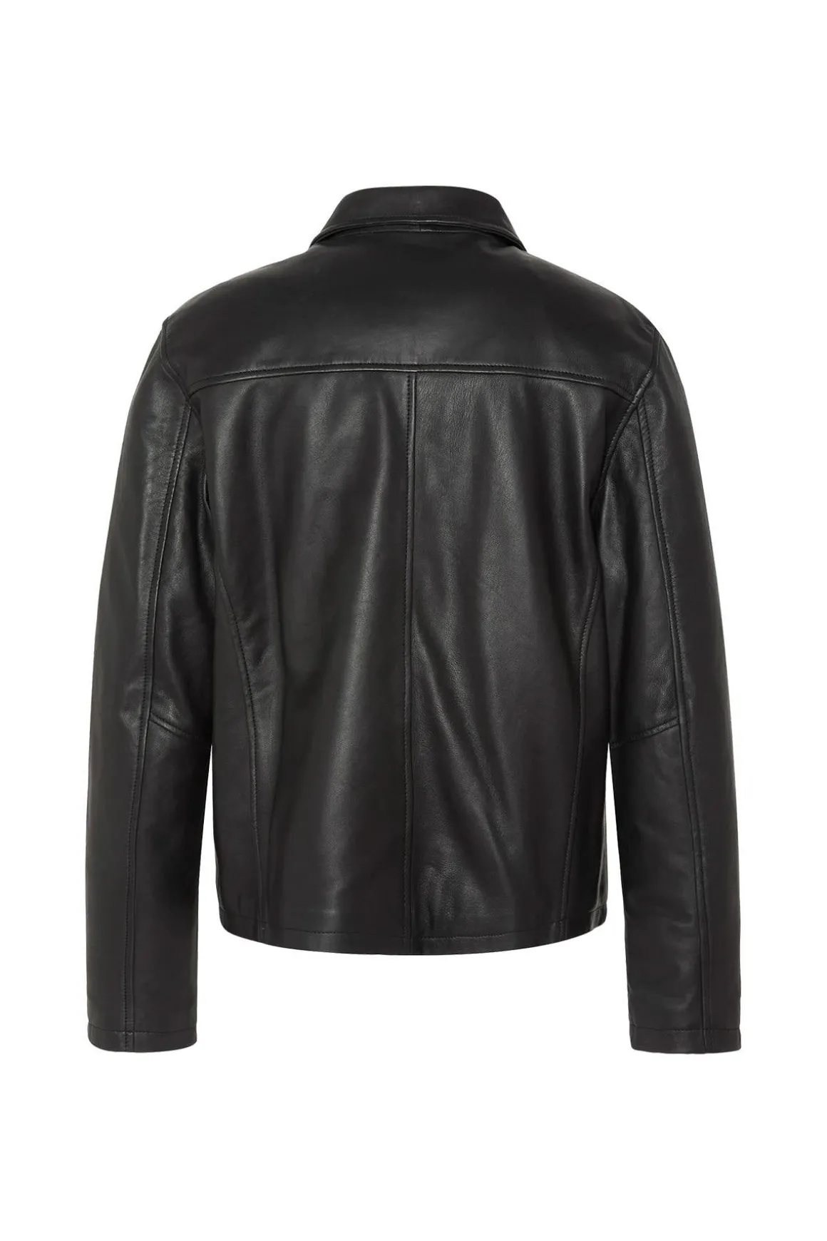 Blouson Homme Schott Lcdenzel Black