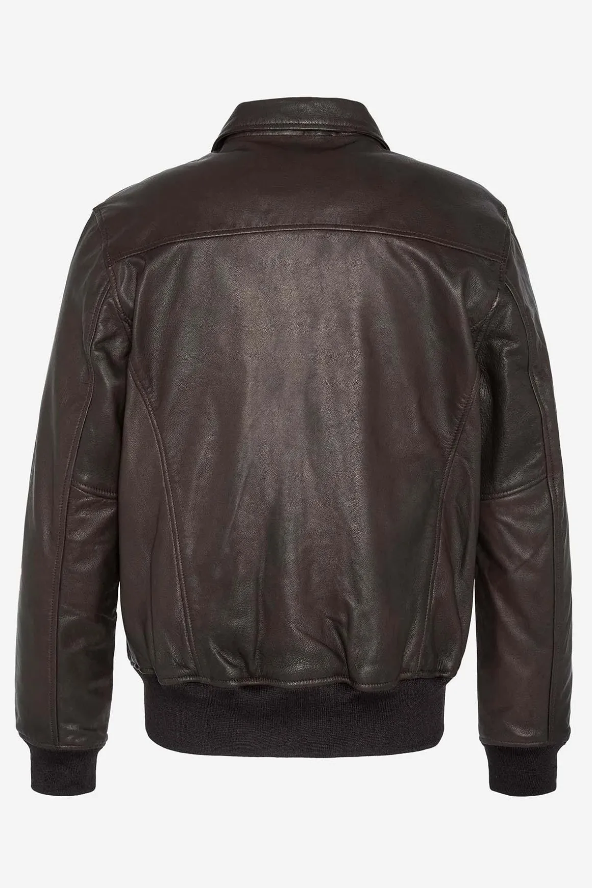 Blouson Homme Schott Lcflyvint Brown
