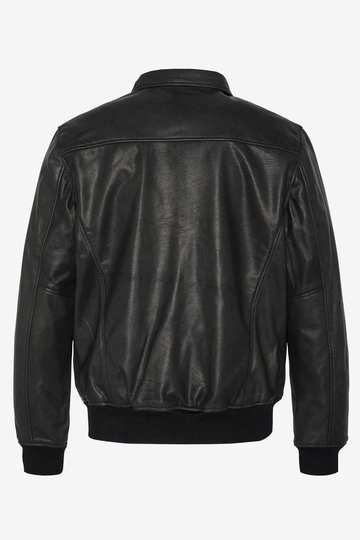 Blouson Homme Schott Lcflyvint Black