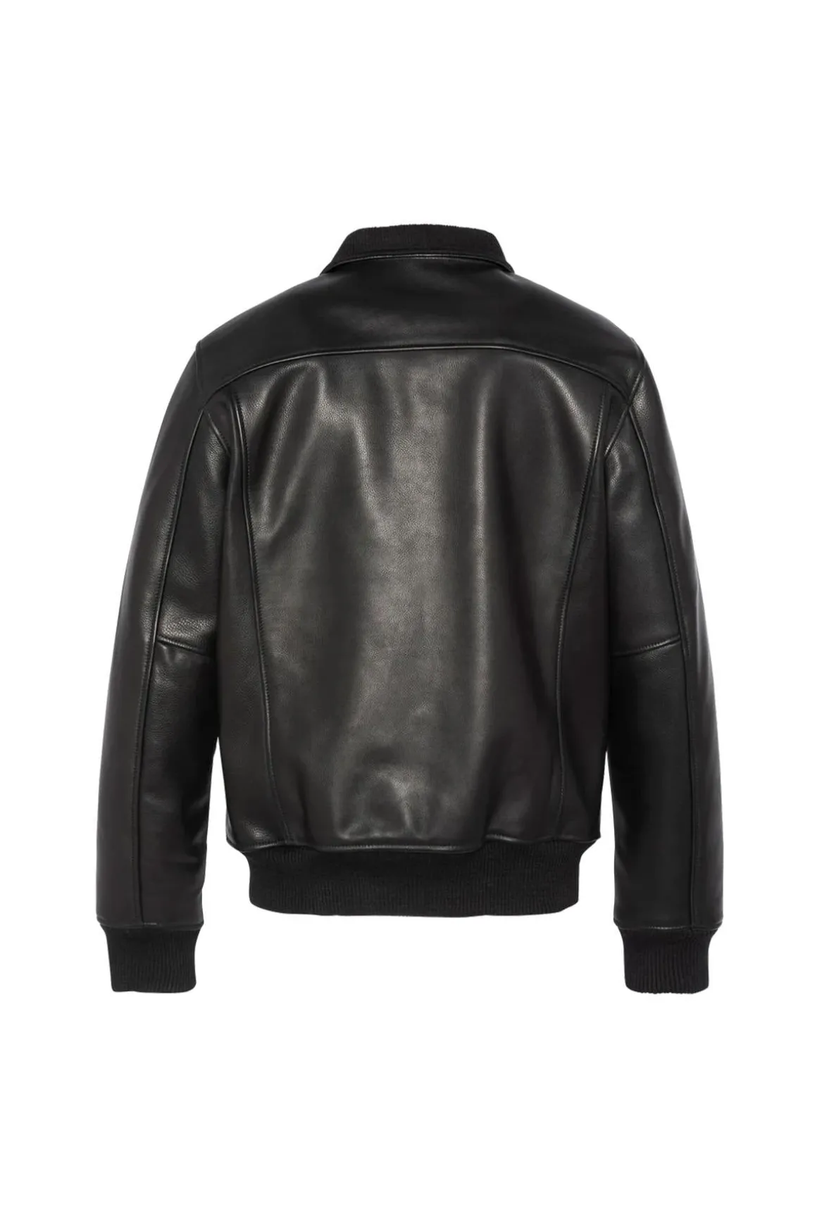 Blouson Homme Schott Lcfresnocow Black