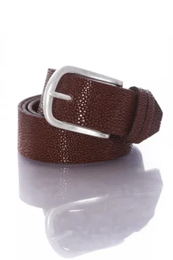 Ceinture Femme Vanzetti V4508A6566 670